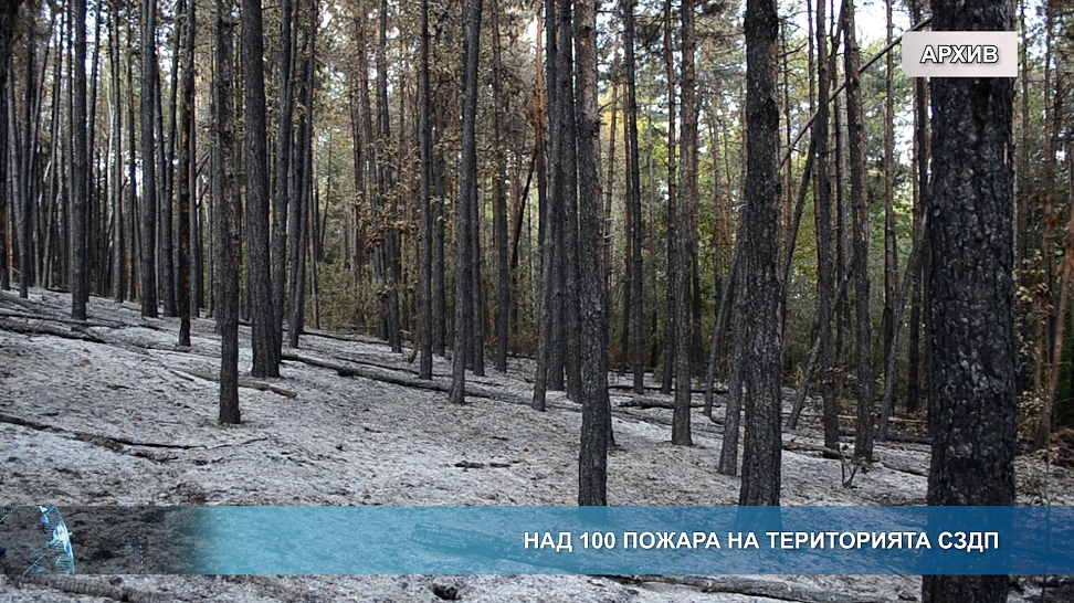Над 100 пожара на територията на СЗДП