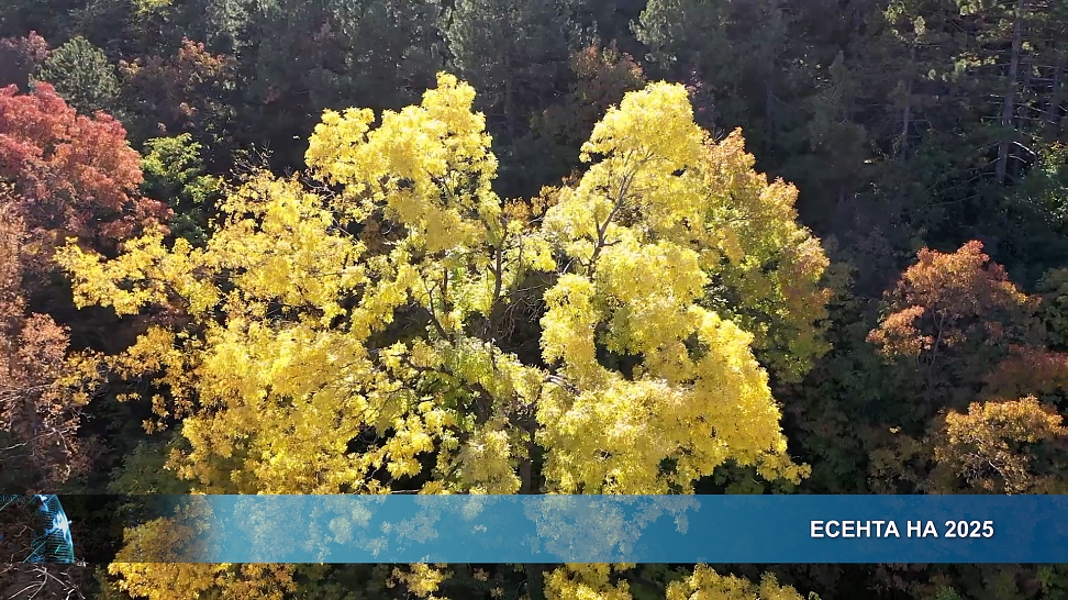 Есента на 2025
