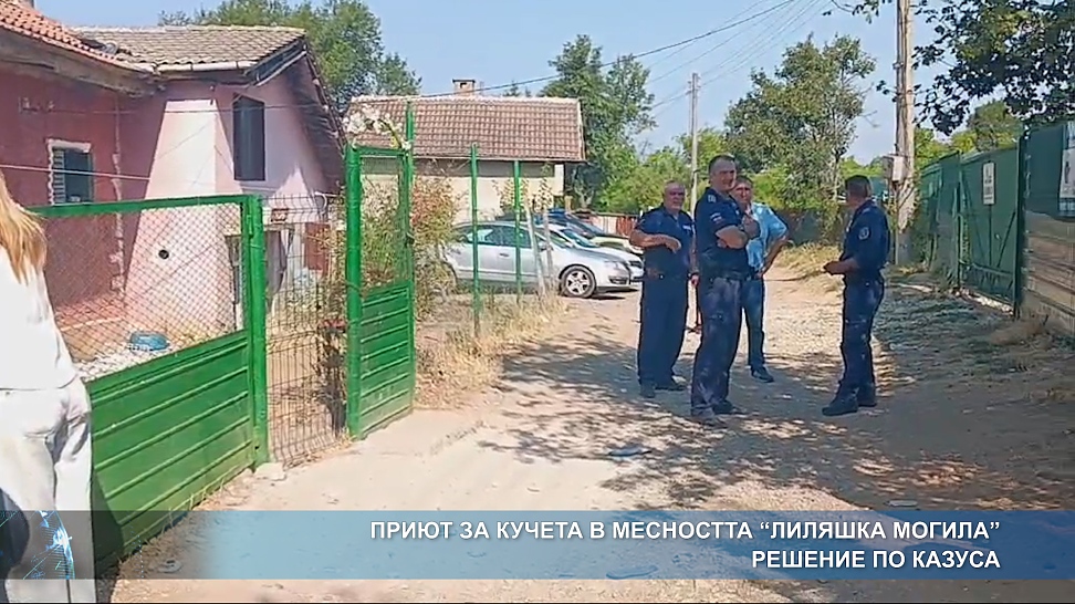 Приют за кучета - решение по казуса