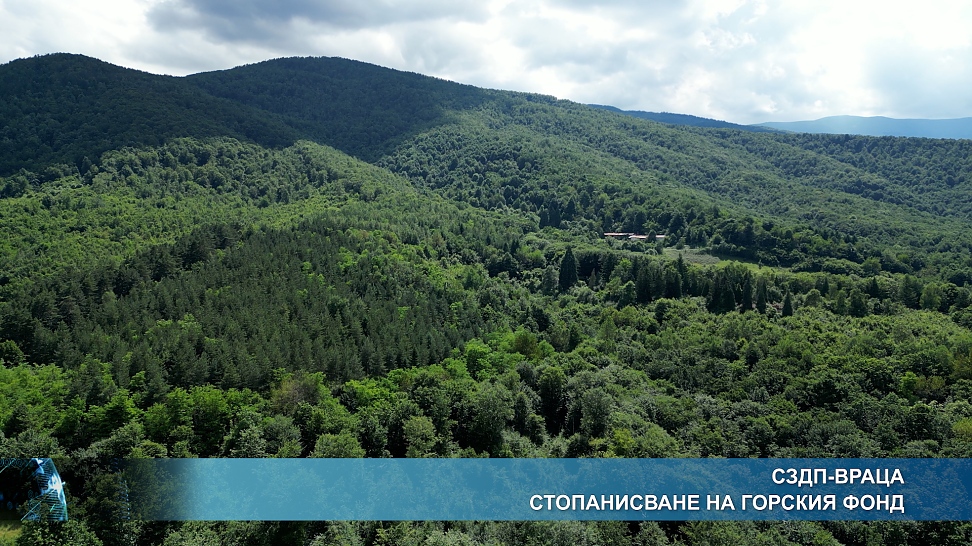 СЗДП-Враца - стопанисване на горския фонд